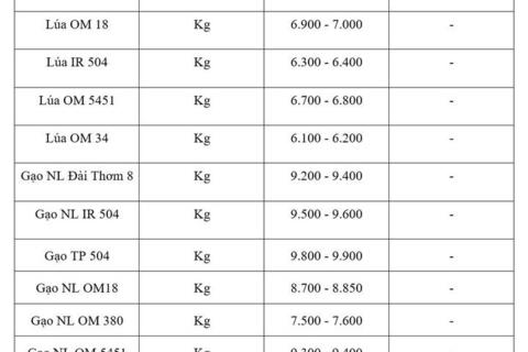 Giá lúa gạo hôm nay ngày 13/8/2026: Gạo xuất khẩu tăng