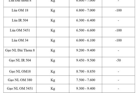 Giá lúa gạo hôm nay ngày 25/8:/2026 Lúa tươi đồng loạt giảm