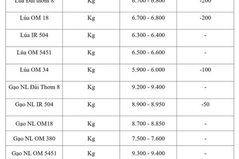 Giá lúa gạo hôm nay ngày 28/8/2026: Lúa tươi đồng loạt giảm