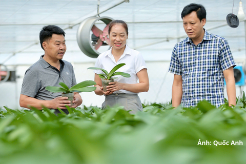Thanh Hóa: Nông dân làm nông nghiệp công nghệ cao, thu hàng tỷ đồng mỗi năm