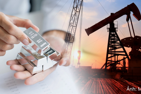 Giá bạc giảm về mức thấp nhất trong 2 tuần