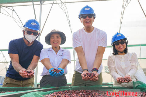 Giá cà phê hôm nay 27/10/2026: Đi ngang, dưới mốc 90.000 đồng/kg