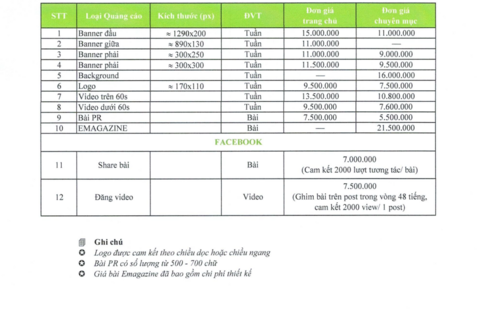 Báo giá website năm 2026