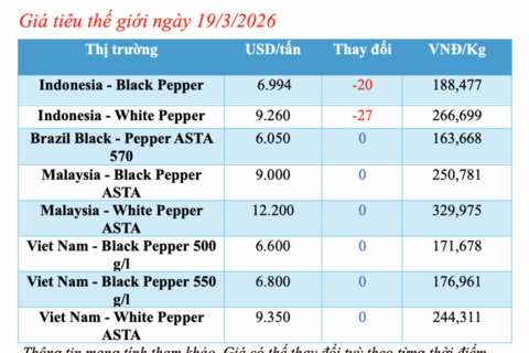 Giá tiêu hôm nay 19/3/2026: Lao dốc, rớt giá đến 5.000 đồng/kg
