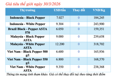 Giá tiêu hôm nay 30/3/2026: Cao nhất đạt 140.500 đồng/kg