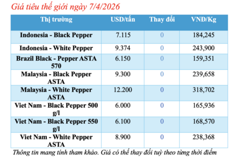 Giá tiêu hôm nay 7/4/2026: Duy trì ổn định