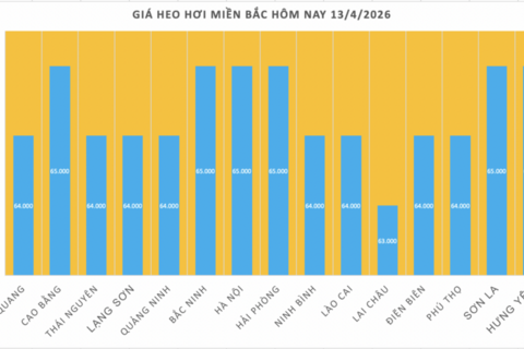 Giá heo hơi hôm nay 13/4/2026: Tạm chững phiên đầu tuần