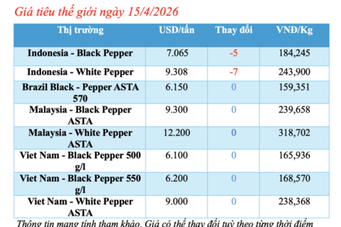 Giá tiêu hôm nay 15/4/2026: Tăng nhẹ cục bộ