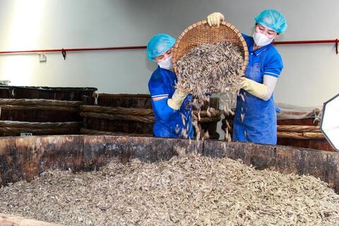 Xây dựng chuỗi thực phẩm sạch, nâng tầm nông sản Việt