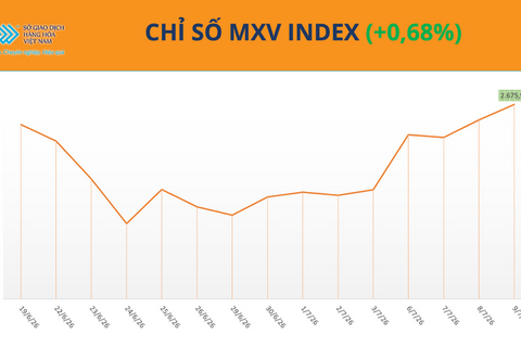 Giá ca cao thế giới tăng hơn 6%