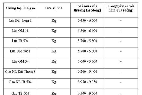 Giá lúa gạo hôm nay ngày 10/7/2026: Gạo Đài Thơm tăng 500 đồng/kg