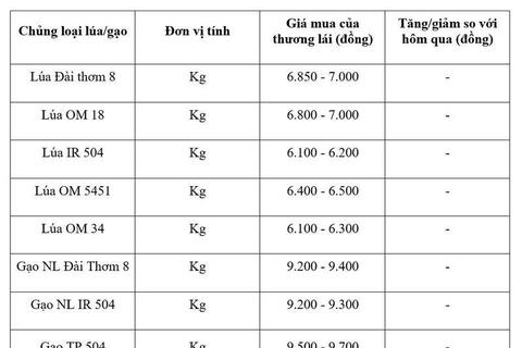 Giá lúa gạo hôm nay ngày 21/7/2026: Gạo xuất khẩu tăng mạnh