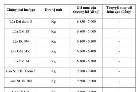 Giá lúa gạo hôm nay ngày 23/7: Gạo thơm Jasmine tăng 1.000 đồng/kg