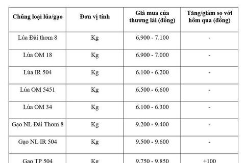 Giá lúa gạo hôm nay ngày 6/8/2026: Gạo xuất khẩu biến động trái chiều