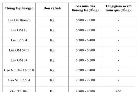 Giá lúa gạo hôm nay ngày 12/8: Gạo nguyên liệu xuất khẩu tiếp đà tăng