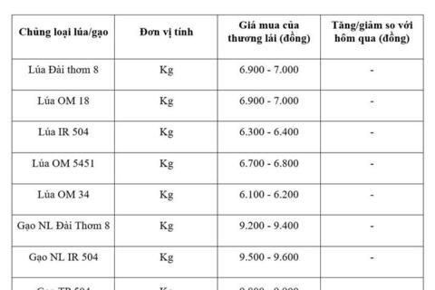 Giá lúa gạo hôm nay ngày 13/8/2026: Gạo xuất khẩu tăng
