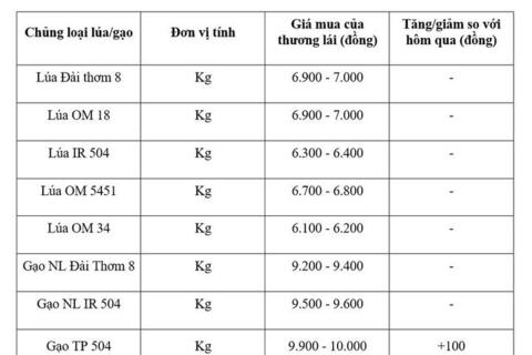 Giá lúa gạo hôm nay ngày 14/8/2026: Gạo nguyên liệu xuất khẩu tăng