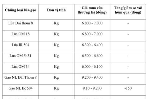 Giá lúa gạo hôm nay ngày 26/8: Gạo nguyên liệu xuất khẩu tiếp đà giảm