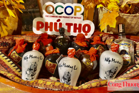 Phú Thọ: Nâng 'chất' sản phẩm OCOP, tạo sức bật mới cho nông sản