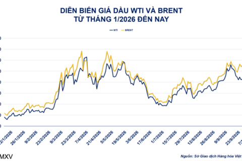 Giá dầu Brent vẫn quanh 100 USD dù nguồn cung đã phục hồi 