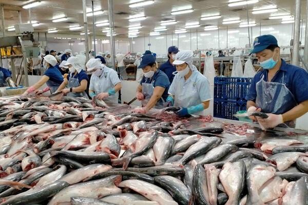 Xuất khẩu thủy sản tăng mạnh nhất ở thị trường Brazil