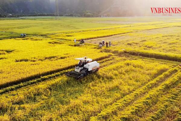 Tinh thần tự chủ, tự lực, cùng nhau làm giàu trong xây dựng nông thôn mới tỉnh Ninh Bình