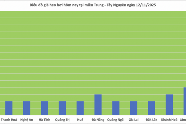 Giá heo hơi hôm nay 12/11/2025: Tiếp tục giảm nhẹ nhiều nơi