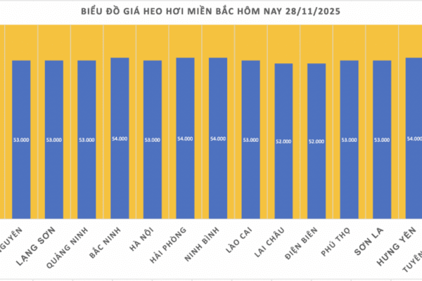 Giá heo hơi hôm nay 28/11/2025: