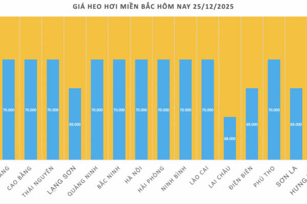 Giá heo hơi hôm nay 25/12/2025: Tiếp đà tăng miền Nam và miền Trung