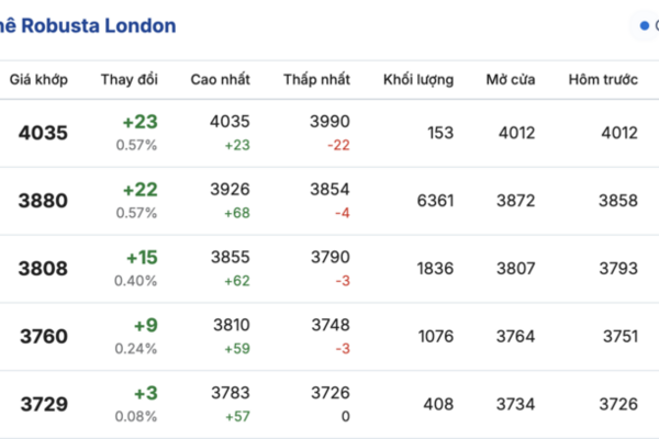 Giá cà phê hôm nay 30/12/2025: Quay đầu giảm mạnh
