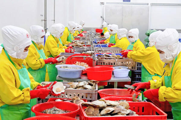 Mở rộng không gian liên kết, tạo động lực phát triển mới