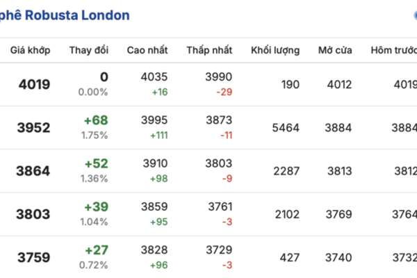 Giá cà phê hôm nay 31/12/2025: Đảo chiều tăng trở lại