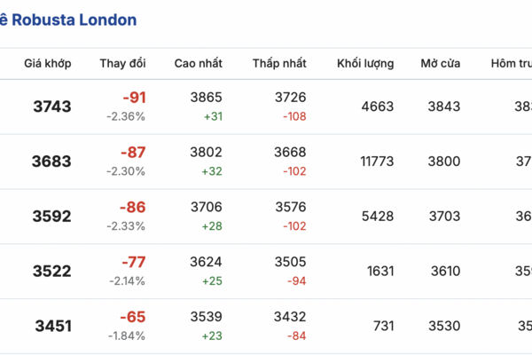 Giá cà phê hôm nay 11/2/2026: Tiếp tục tăng nhẹ