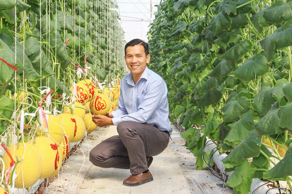 “Áo mới” cho trái cây chưng Tết