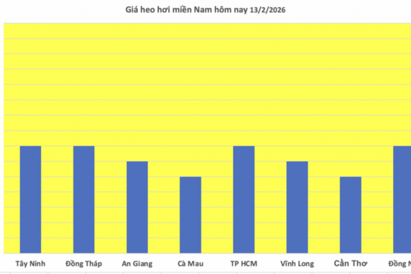 Giá heo hơi hôm nay 13/2/2026: Thị trường trầm lắng