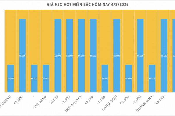 Giá heo hơi hôm nay 4/3/2026: Giảm tại miền Bắc và miền Trung