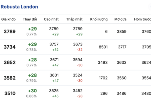 Giá cà phê hôm nay 5/3/2026: Đảo chiều giảm mạnh