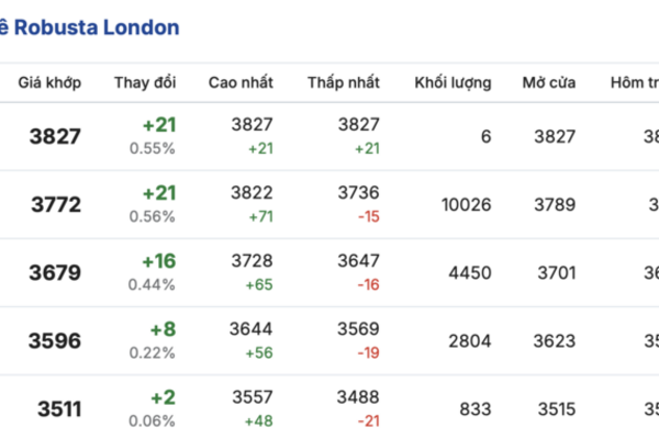 Giá cà phê hôm nay 9/3/2026: Đi ngang