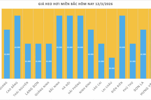 Giá heo hơi hôm nay 12/3/2026: Biến động trái chiều