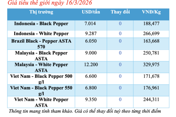 Giá tiêu hôm nay 16/3/2026: Dao động từ 142.500 - 144.500 đồng/kg