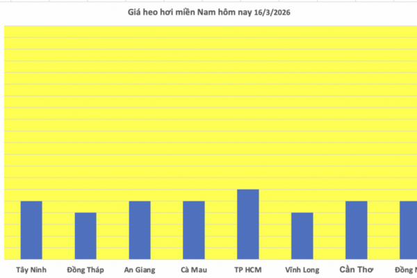 Giá heo hơi hôm nay 16/3/2026: Cao nhất đạt mốc 66.000 đồng/kg