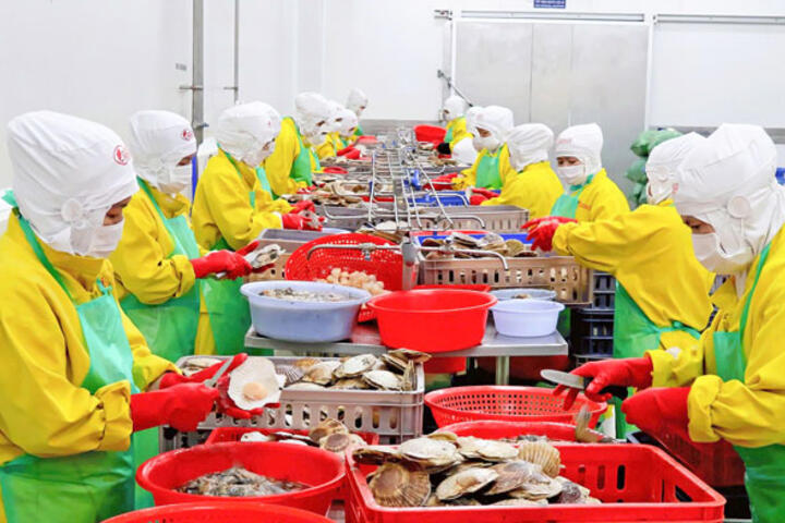 Mở rộng không gian liên kết, tạo động lực phát triển mới