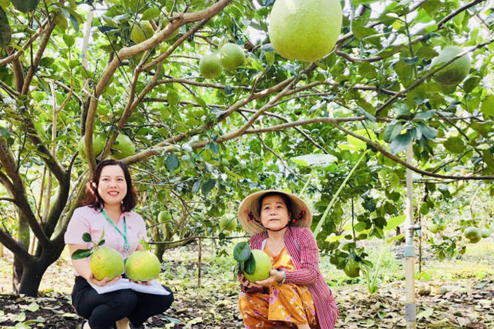 Nâng cao hiệu quả tín dụng chính sách xã hội