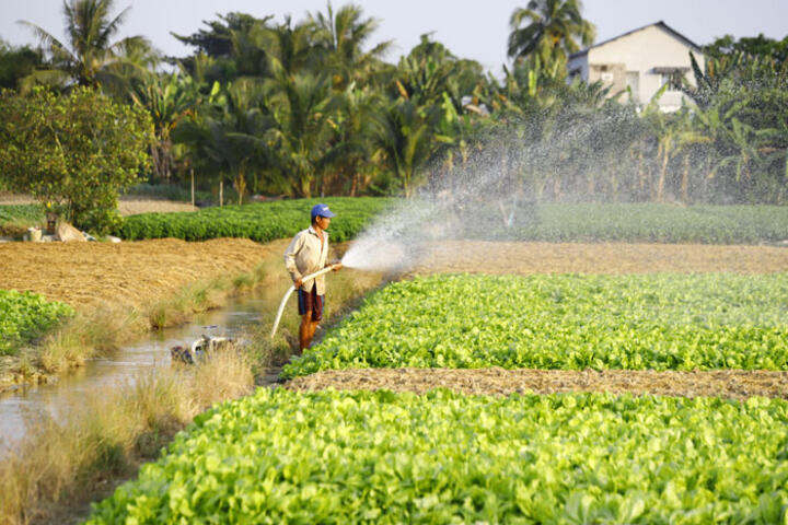 Phát huy hiệu quả nguồn vốn từ quỹ tín dụng nhân dân