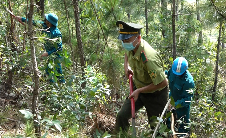 Các lực lượng bảo vệ rừng tham gia phát quang, dọn thực bì để hạn chế cháy rừng trong mùa nắng nóng.