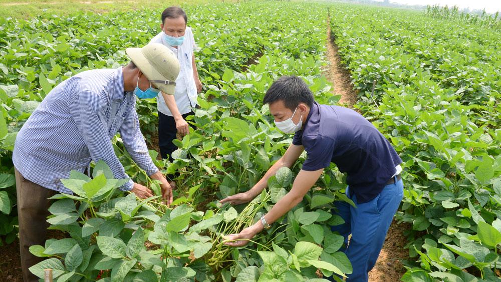 Bắc Giang, nông thôn mới, Chính quyền chủ động, người dân chung tay