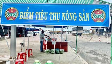 Hội Nông dân tỉnh Đồng Tháp thành lập các điểm tiêu thụ nông sản hỗ trợ nông dân .Ảnh: TÂM MINH