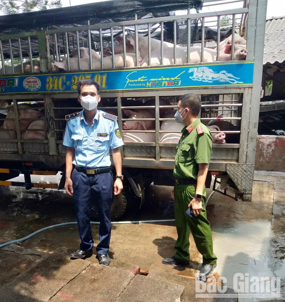 Xử phạt, Đoàn kiểm tra liên ngành, Quản lý thịtrường tỉnh, Nguyễn Văn Thắng, vận chuyển lợn, bắc giang