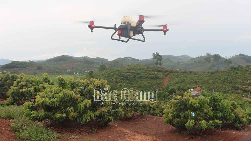 máy bay không người lái; phun thuốc; công nghệ; Bắc Giang