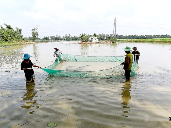 Hàng năm, nông dân huyện Thới Lai (TP Cần Thơ) khai thác thủy sản mùa nước nổi để mưu sinh.